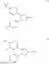 Fig. 03 - Five-membered heterocyclic derivative