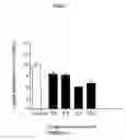 Fig. 06 - Pharmaceutically active morpholinol