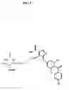 Fig. 04 - Method of increasing drug oral bioavailability and compositions of less toxic orotate salts