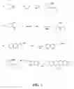 Fig. 02 - Ion channel modulating compounds and uses thereof