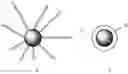 Fig. 41 - Synthesis of functional polymers for use in organic synthesis and combinatorial chemistry
