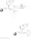 Fig. 59 - Synthesis of functional polymers for use in organic synthesis and combinatorial chemistry
