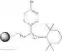 Fig. 97 - Synthesis of functional polymers for use in organic synthesis and combinatorial chemistry