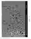 Fig. 04 - High build dispersions