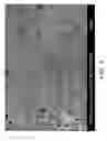 Fig. 06 - High build dispersions