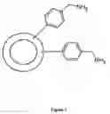 Fig. 02 - Aminomethyl polystyrene resin and preparation process for the same