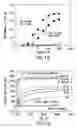 Fig. 02 - Recombinant expression of streptococcus pyogenes cysteine protease and immunogenic compositions thereof