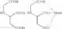 Fig. 08 - Magnetic polymer particles