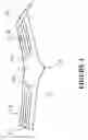 Fig. 04 - Pelvic traction harness