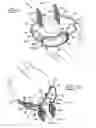 Fig. 02 - Ocular iontophoretic apparatus with handle