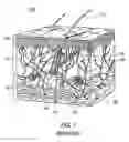 Fig. 02 - Apparatus and method to apply substances to tissue
