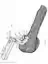 Fig. 06 - Nail plate