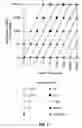 Fig. 07 - Databases for assessing nucleic acids
