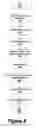 Fig. 09 - System and method for automatic calibration of a reference voltage