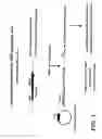 Fig. 06 - Method for preparing anti-MIF antibodies