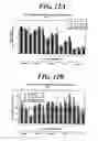 Fig. 13 - Method for preparing anti-MIF antibodies