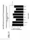 Fig. 14 - Method for preparing anti-MIF antibodies
