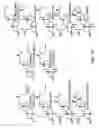 Fig. 02 - DWF4 polynucleotides, polypeptides and uses thereof