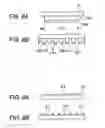 Fig. 09 - Method of manufacturing a liquid ejecting head