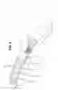 Fig. 04 - Manicure and pedicure file