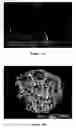 Fig. 02 - Compositions and methods of remediation devices with nanostructured sorbent