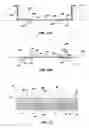 Fig. 09 - Image sensor packages and frame structure thereof