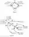 Fig. 06 - Topology aggregation for hierarchical routing