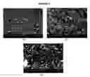 Fig. 02 - Nanoparticle-based drug delivery system