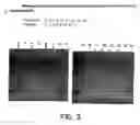 Fig. 04 - Vaccines for proliferative ileitis and methods of making and using the same