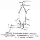 Fig. 01 - Laminate material