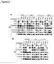 Fig. 03 - Phosphorylation and regulation of Akt/PKB by the rictor-mTOR complex