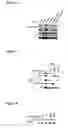 Fig. 05 - Phosphorylation and regulation of Akt/PKB by the rictor-mTOR complex