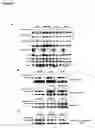 Fig. 07 - Phosphorylation and regulation of Akt/PKB by the rictor-mTOR complex
