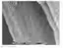 Fig. 01 - FUEL CELL GAS DIFFUSION LAYER COATING PROCESS AND TREATED ARTICLE