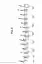 Fig. 06 - Method and apparatus for separating thigh meat and oyster meat