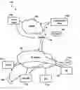 Fig. 01 - Method of mobility support for wireless networks