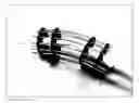 Fig. 01 - Variable stiffness flexible joint