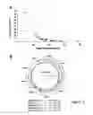 Fig. 03 - Streptococcus pyogene antigens