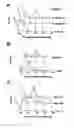 Fig. 06 - Streptococcus pyogene antigens