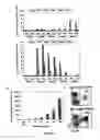 Fig. 04 - Compositions and methods for regulating an immune response in a subject