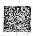 Fig. 01 - Self-patterning decorative coating composition and method for applying the coating composition