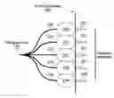 Fig. 01 - Delivery of therapeutic through multiple delivery members