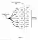 Fig. 03 - Delivery of therapeutic through multiple delivery members