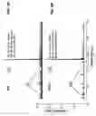 Fig. 04 - Isotope correlation filter for mass spectrometry