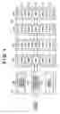 Fig. 02 - Access control device, method for changing memory addresses, and memory system