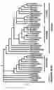 Fig. 02 - Transcription factor sequences for conferring advantageous properties to plants