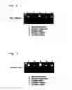 Fig. 09 - Method for preparing fusion polypeptide comprising epidermal growth factor and human serum albumin in plants