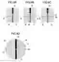Fig. 09 - Canister and method of manufacturing the same