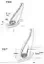 Fig. 07 - Heavy duty tire with bead anchor rubber