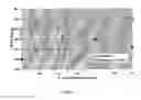 Fig. 04 - Papermaking method using one or more quaternized dialkanolamine fatty acid ester compounds to control opacity and paper product made thereby